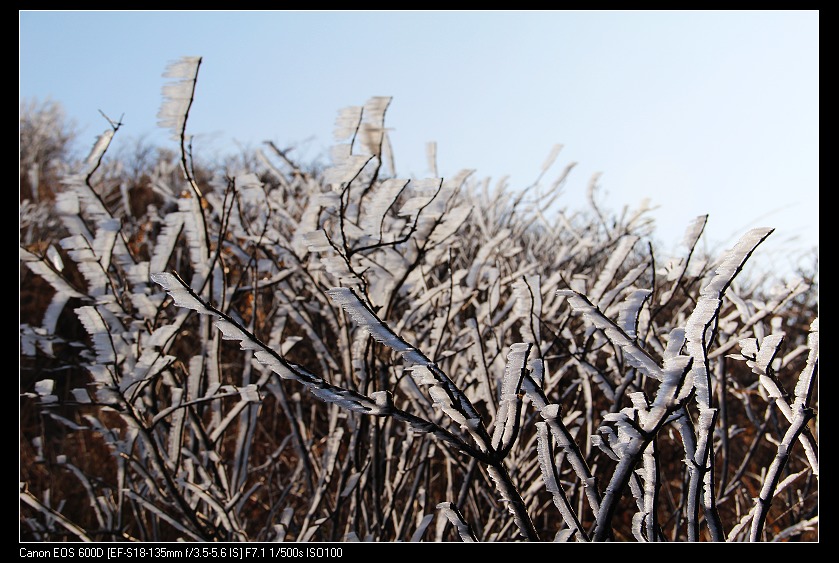 ���������� 039_nEO_IMG.jpg