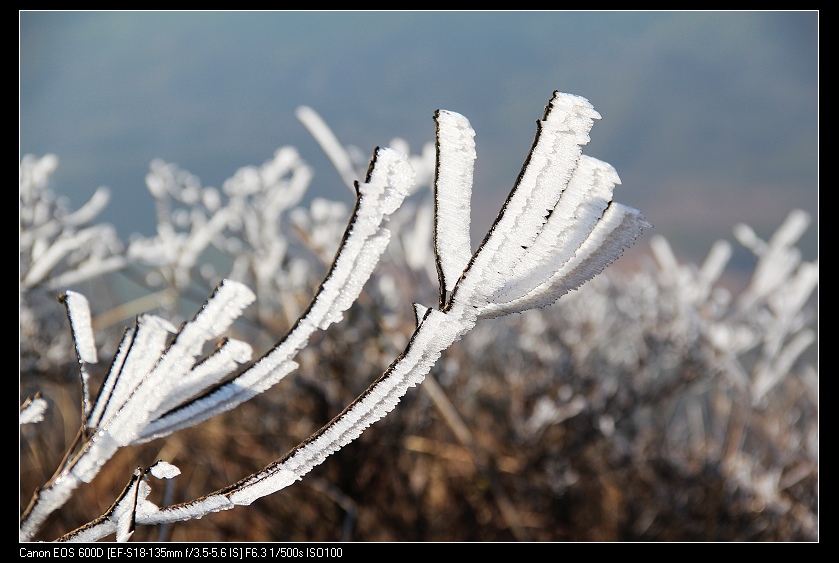 ���������� 040_nEO_IMG.jpg