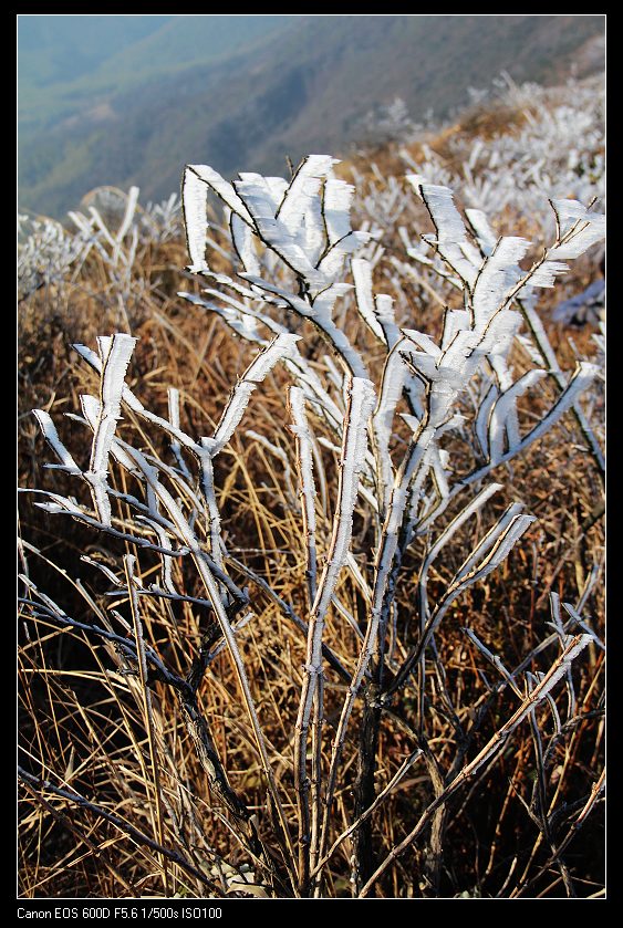 ���������� 041_nEO_IMG.jpg