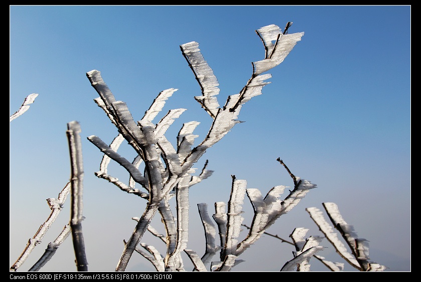 ���������� 043_nEO_IMG.jpg