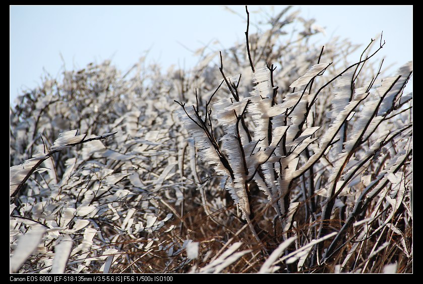 ���������� 044_nEO_IMG.jpg