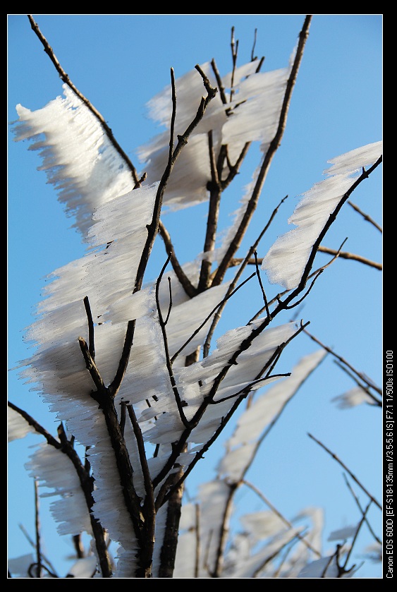 ���������� 046_nEO_IMG.jpg