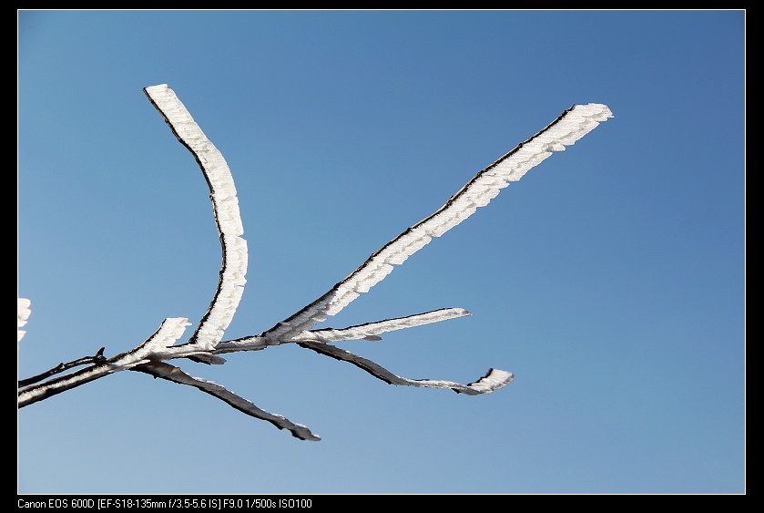 ���������� 048_nEO_IMG.jpg