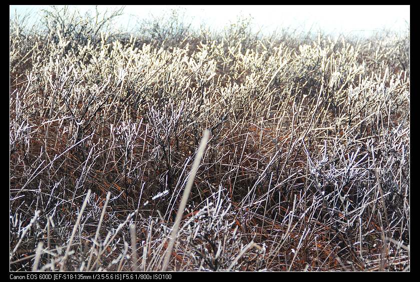 ���������� 057_nEO_IMG.jpg