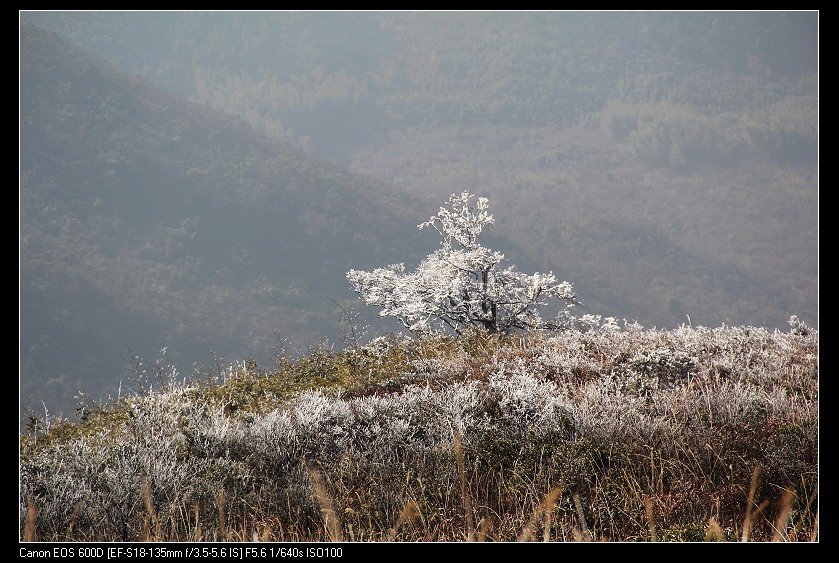 ���������� 060_nEO_IMG.jpg