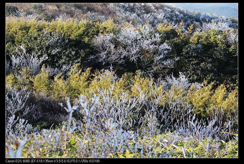 ���������� 063_nEO_IMG.jpg