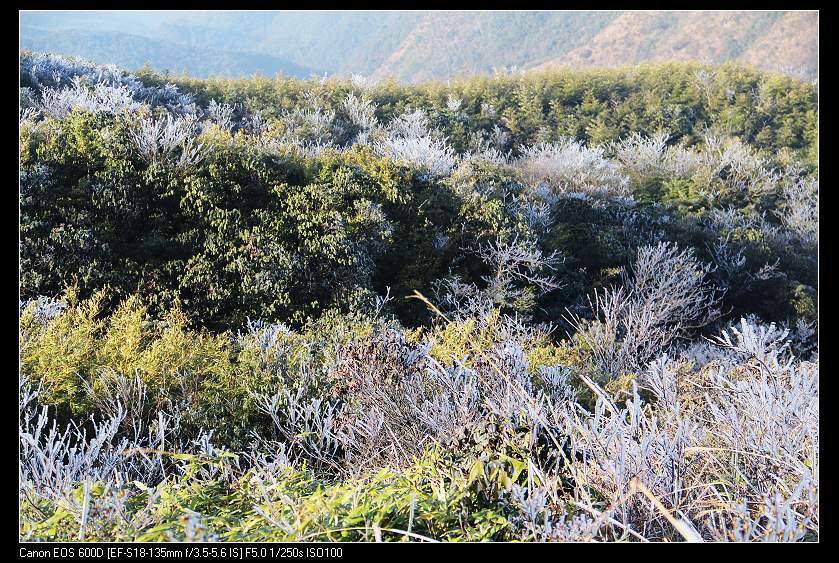 ���������� 064_nEO_IMG.jpg