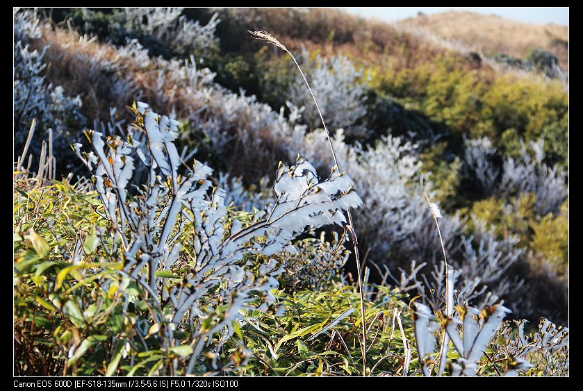 ���������� 066_nEO_IMG.jpg