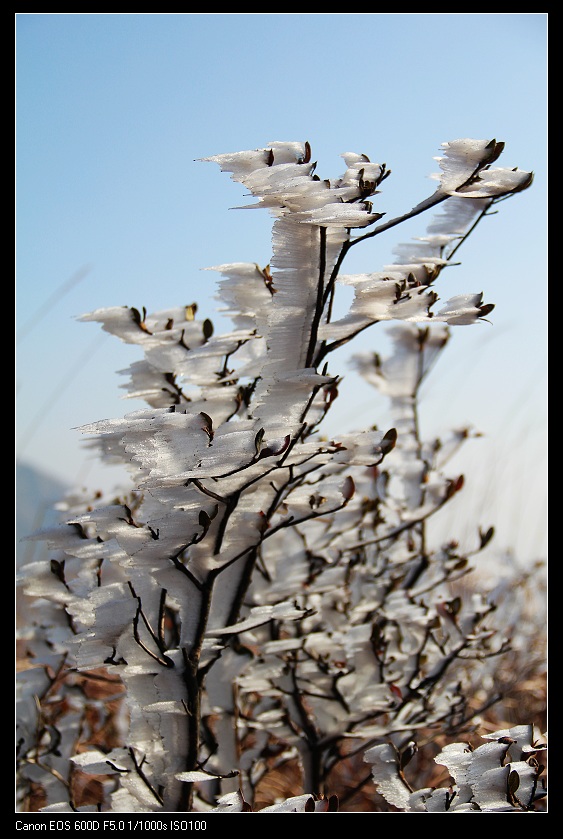 ���������� 067_nEO_IMG.jpg