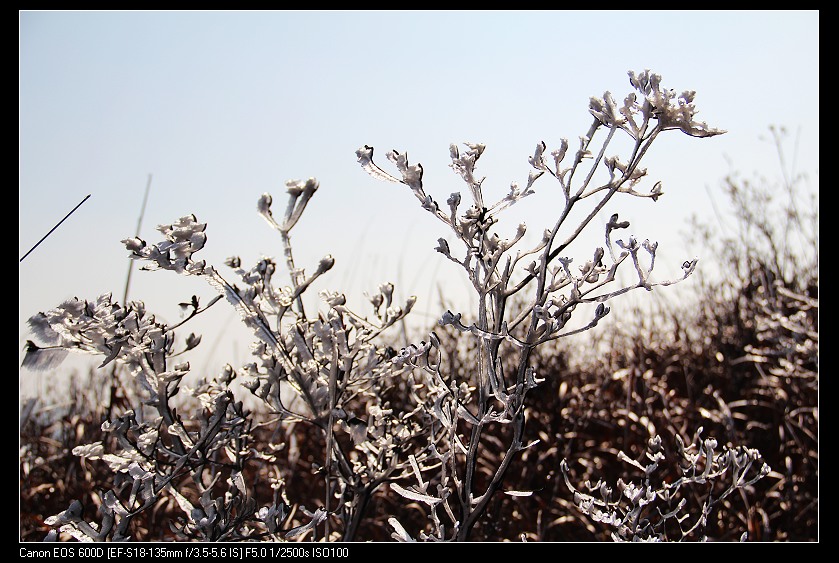 ���������� 068_nEO_IMG.jpg