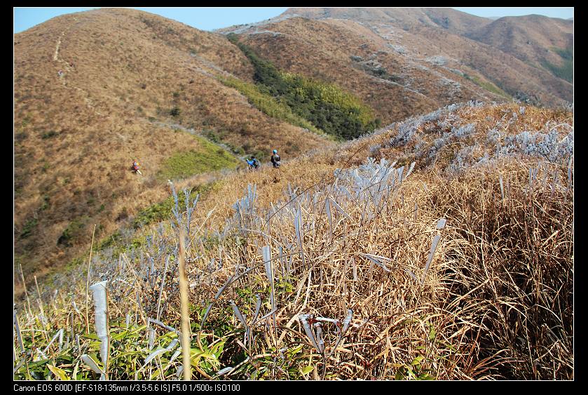 ���������� 069_nEO_IMG.jpg