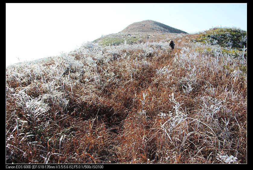 ���������� 070_nEO_IMG.jpg