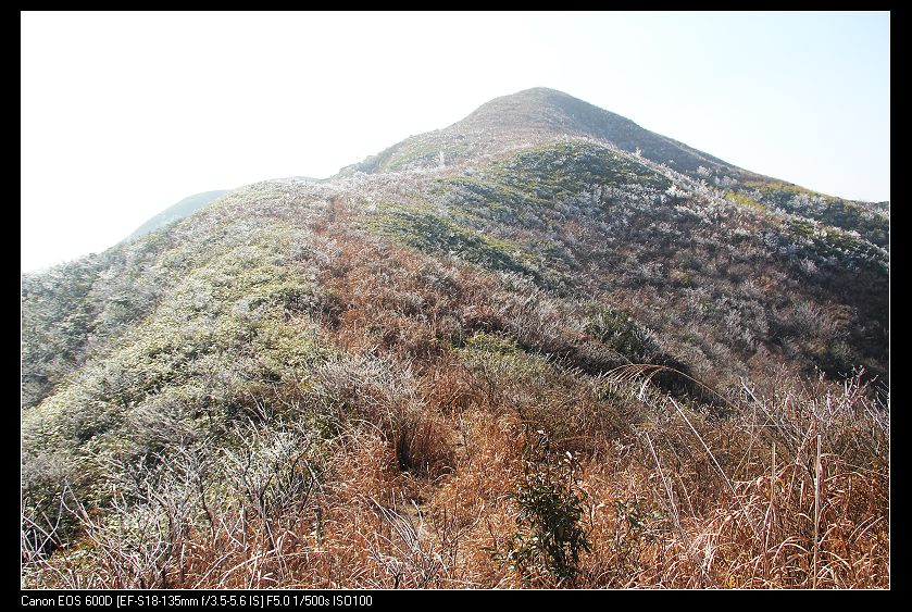 ���������� 072_nEO_IMG.jpg