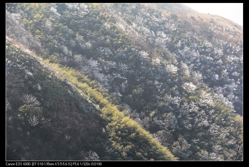 ���������� 073_nEO_IMG.jpg