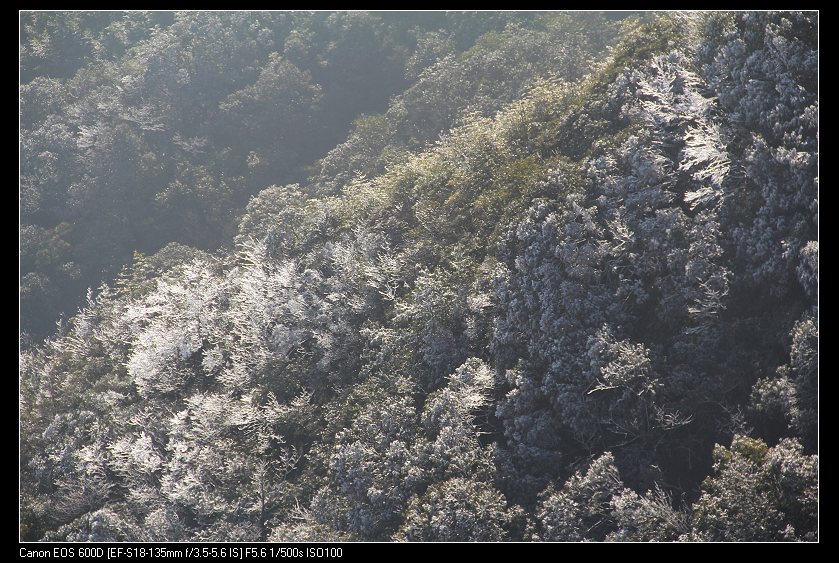 ���������� 075_nEO_IMG.jpg