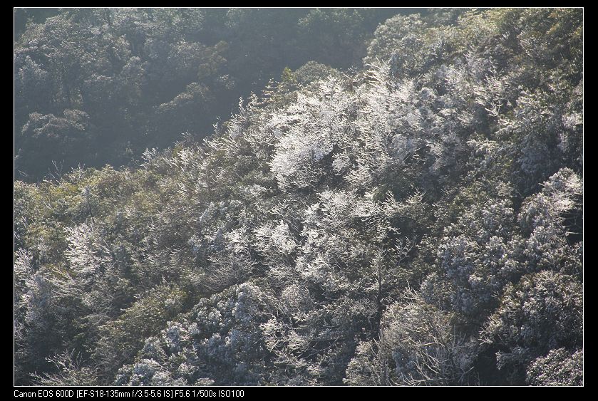 ���������� 076_nEO_IMG.jpg