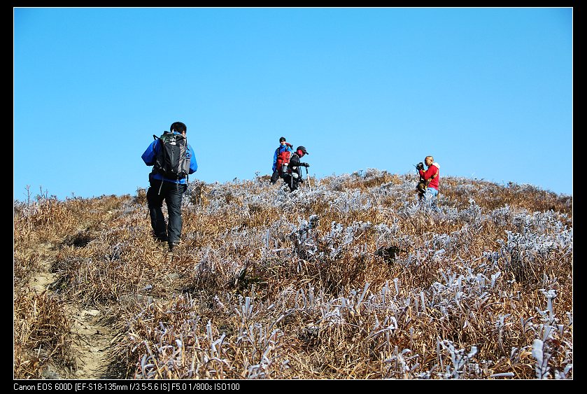 ���������� 077_nEO_IMG.jpg