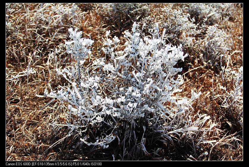 ���������� 078_nEO_IMG.jpg