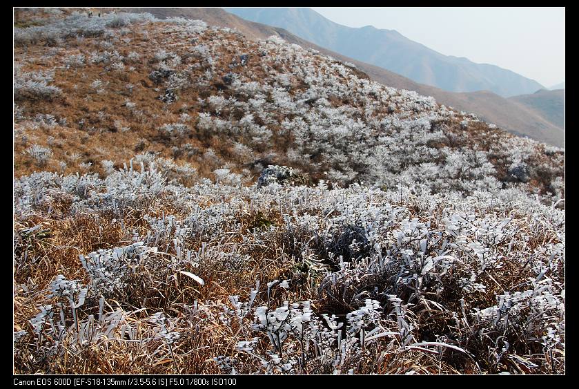 ���������� 082_nEO_IMG.jpg