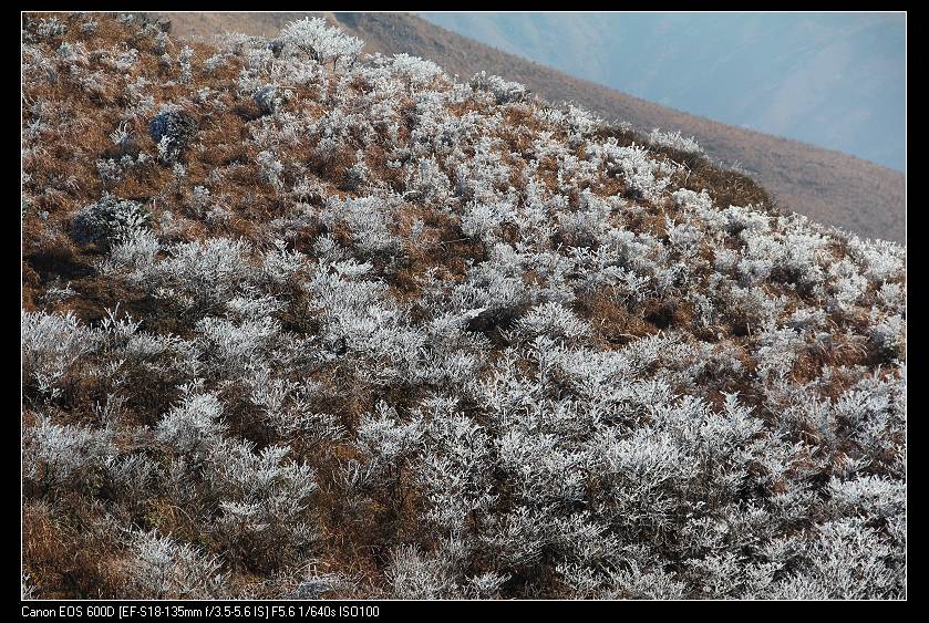 ���������� 083_nEO_IMG.jpg