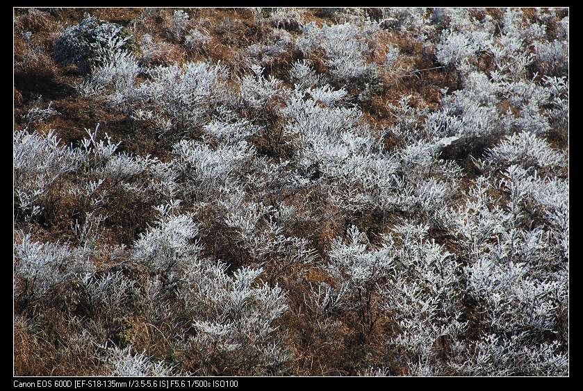 ���������� 084_nEO_IMG.jpg