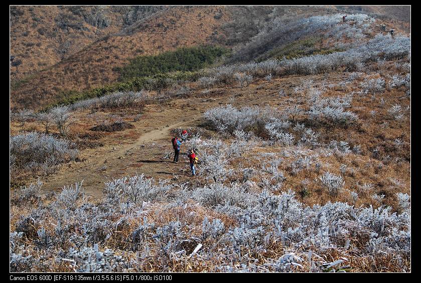 ���������� 085_nEO_IMG.jpg