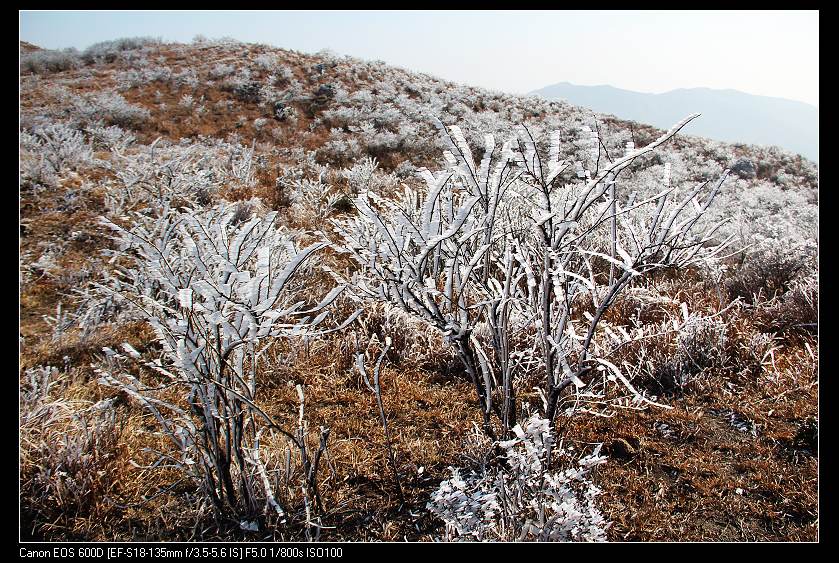 ���������� 086_nEO_IMG.jpg