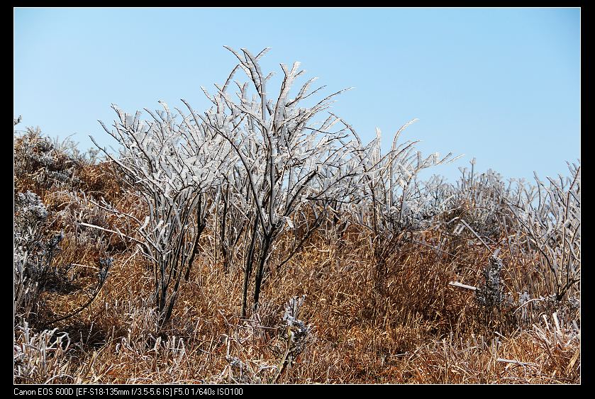 ���������� 088_nEO_IMG.jpg