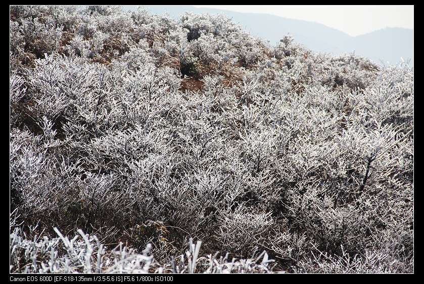 ���������� 089_nEO_IMG.jpg