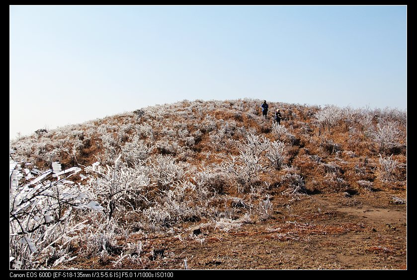 ���������� 090_nEO_IMG.jpg