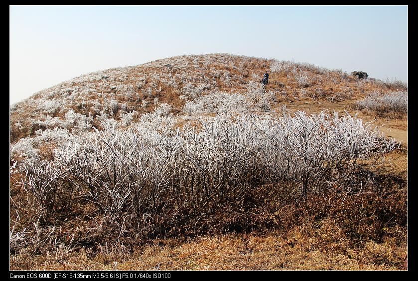 ���������� 091_nEO_IMG.jpg