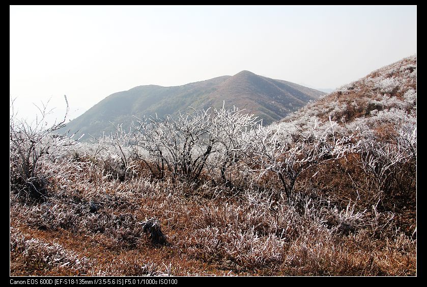 ���������� 092_nEO_IMG.jpg