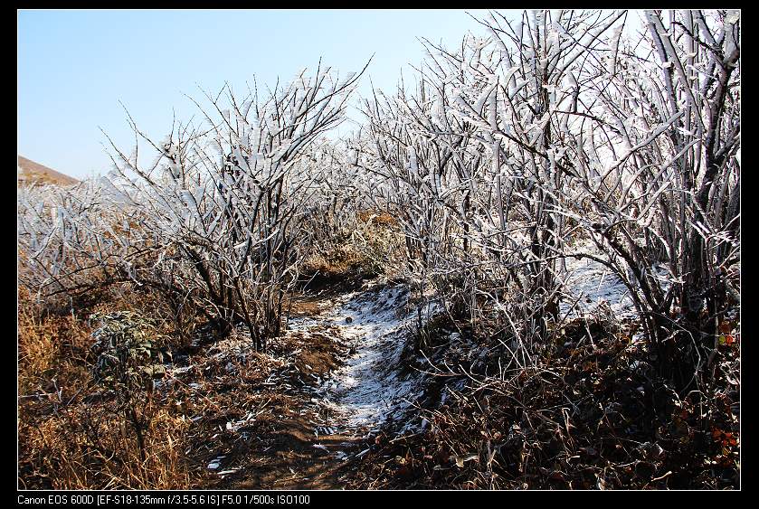 ���������� 094_nEO_IMG.jpg