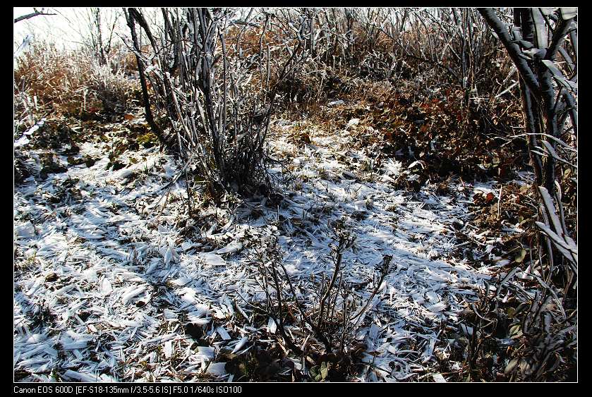 ���������� 095_nEO_IMG.jpg