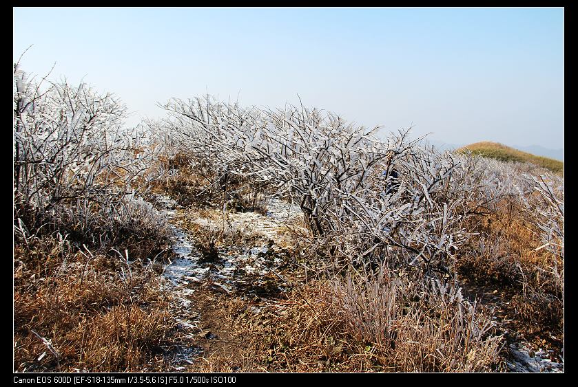 ���������� 096_nEO_IMG.jpg