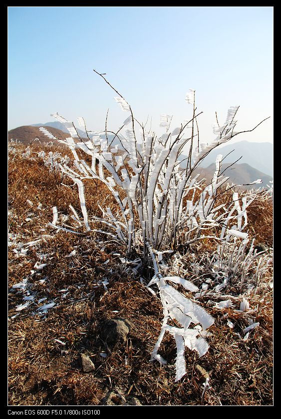 ���������� 098_nEO_IMG.jpg