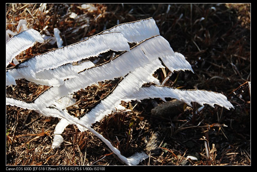 ���������� 099_nEO_IMG.jpg