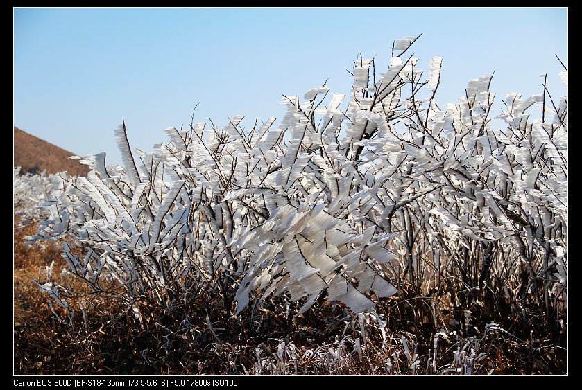 ���������� 102_nEO_IMG.jpg