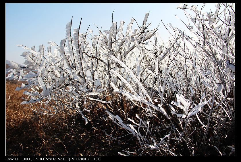 ���������� 103_nEO_IMG.jpg