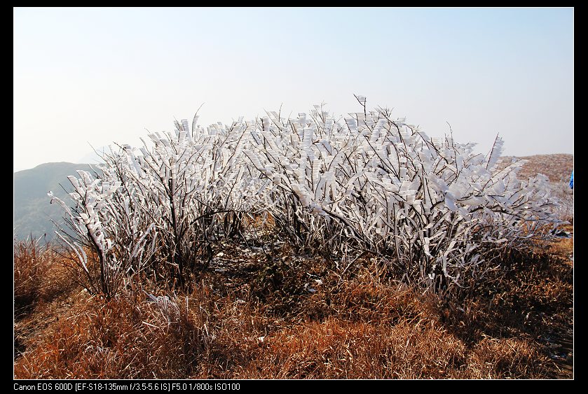 ���������� 106_nEO_IMG.jpg