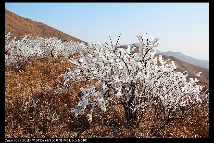 ���������� 107_nEO_IMG.jpg