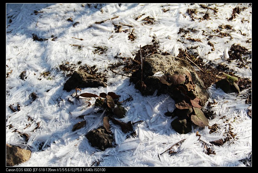 ���������� 109_nEO_IMG.jpg