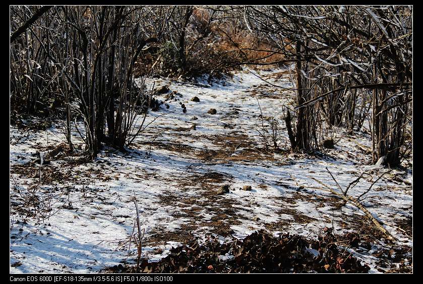 ���������� 110_nEO_IMG.jpg