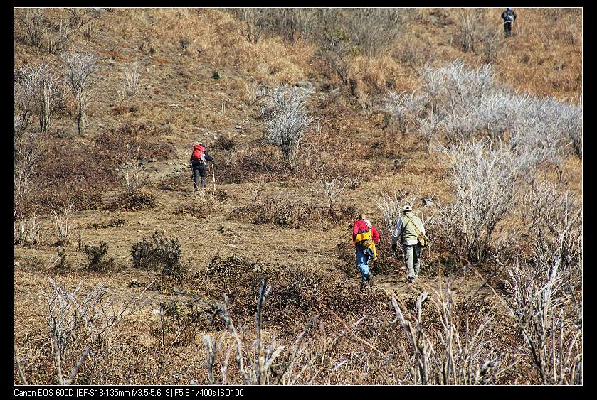 ���������� 113_nEO_IMG.jpg