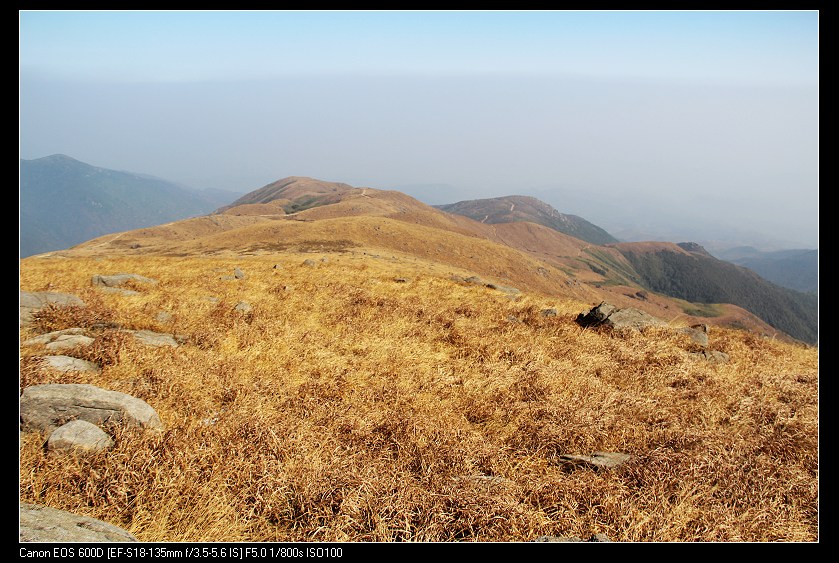 ���������� 119_nEO_IMG.jpg