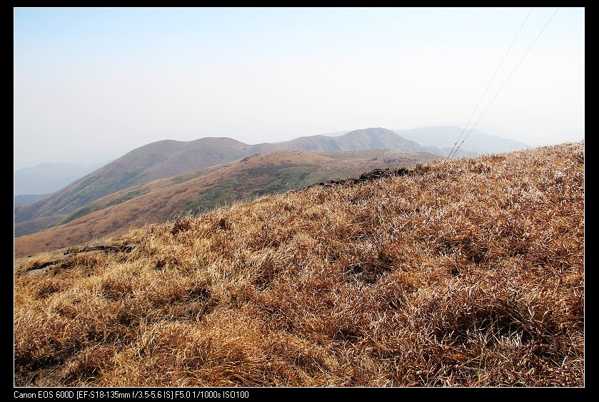 ���������� 121_nEO_IMG.jpg