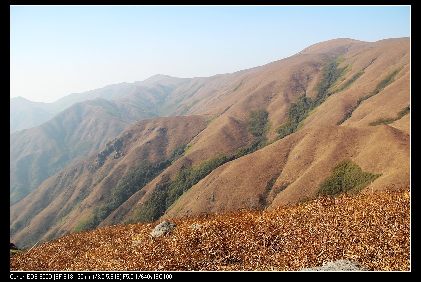 ���������� 124_nEO_IMG.jpg