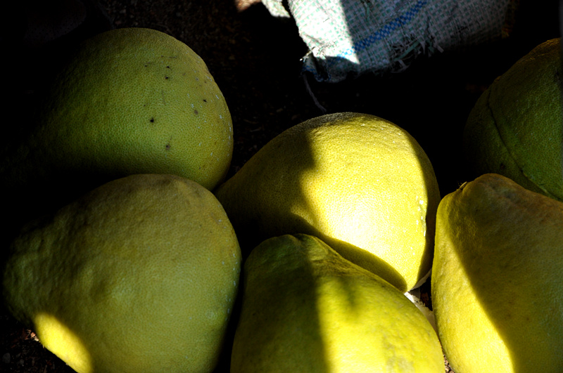 ��Ƭ 368_����.jpg