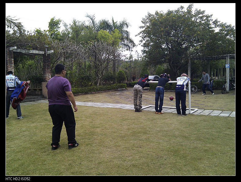 �Ŷ�����������