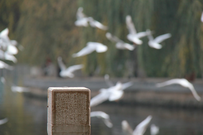 2011.11�����϶��������� 690_����.jpg